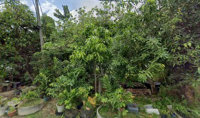 CT Homestay