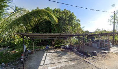 Homestay Beluti