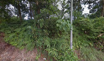 JELI HOMESTAY