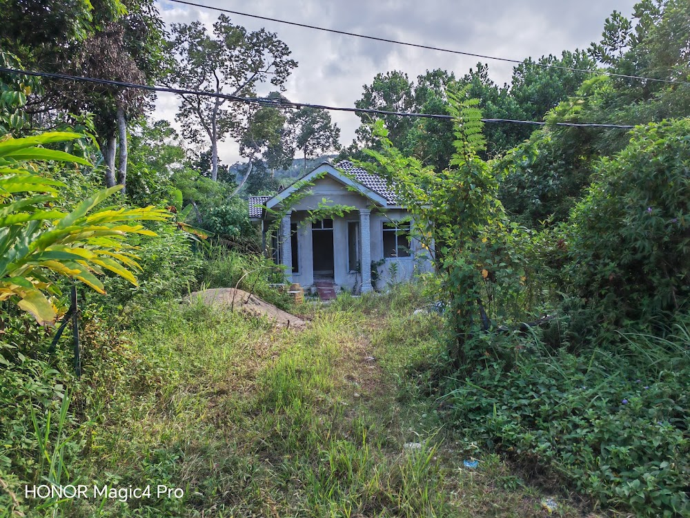 DYANARAFI HOUSE
