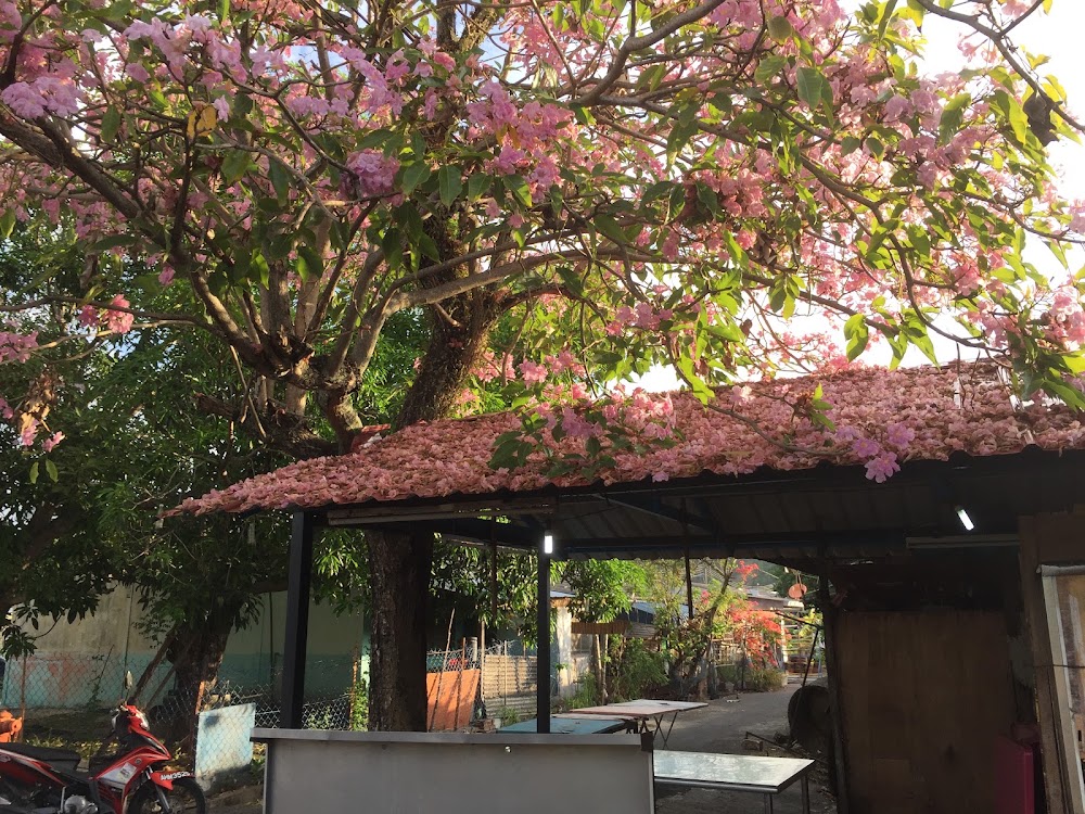 AISYA HOMESTAY KANGAR PERLIS