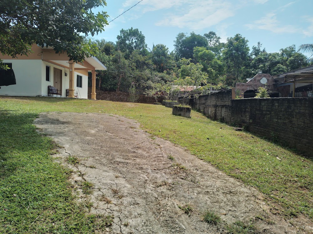 Homestay bukit sireh