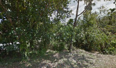 D Romli Homestay