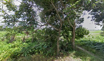 Kampung Dendang