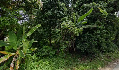 Sari Mah Village Homestay