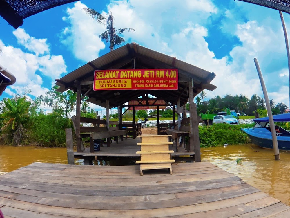 NZA homestay