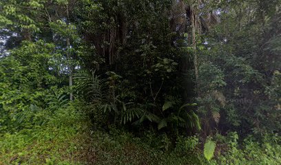homestay