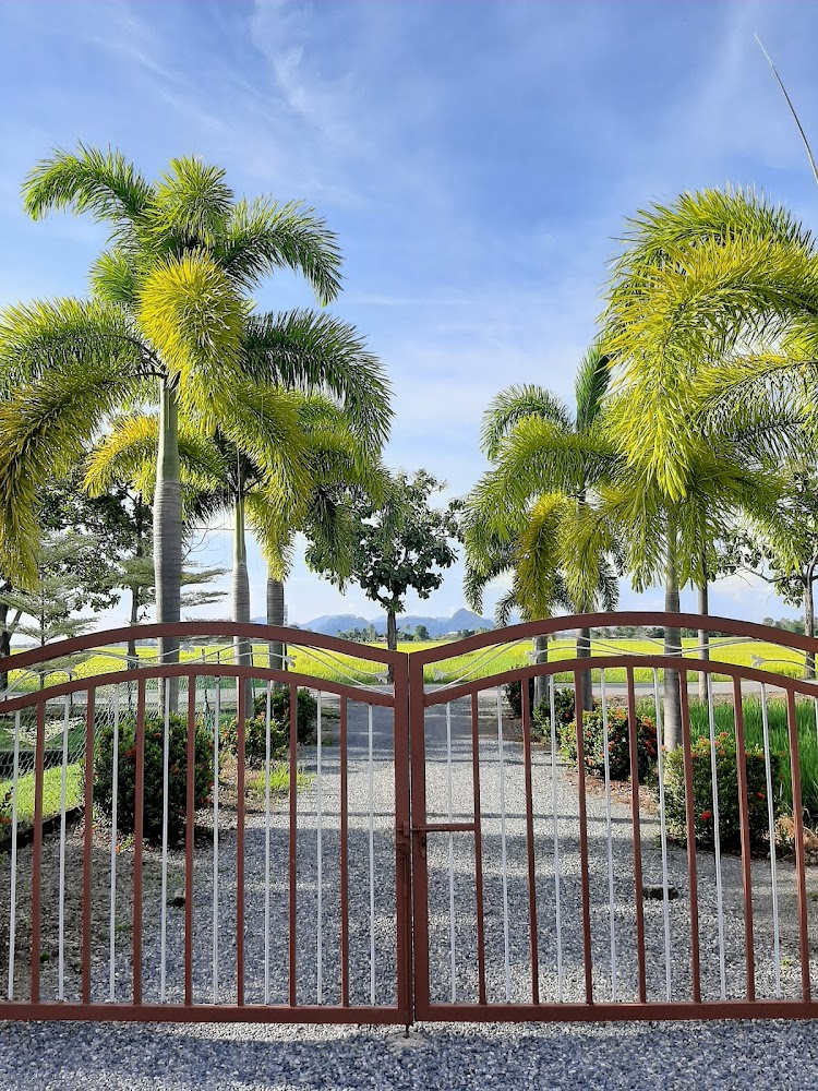DE PALMA HOMESTAY KUALA PERLIS