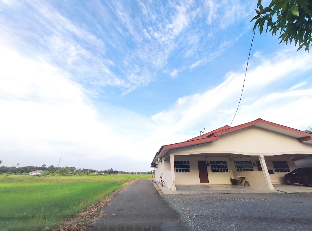 Homestay sofea di tepi sawah